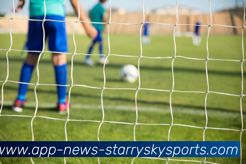 星空体育平台生态图